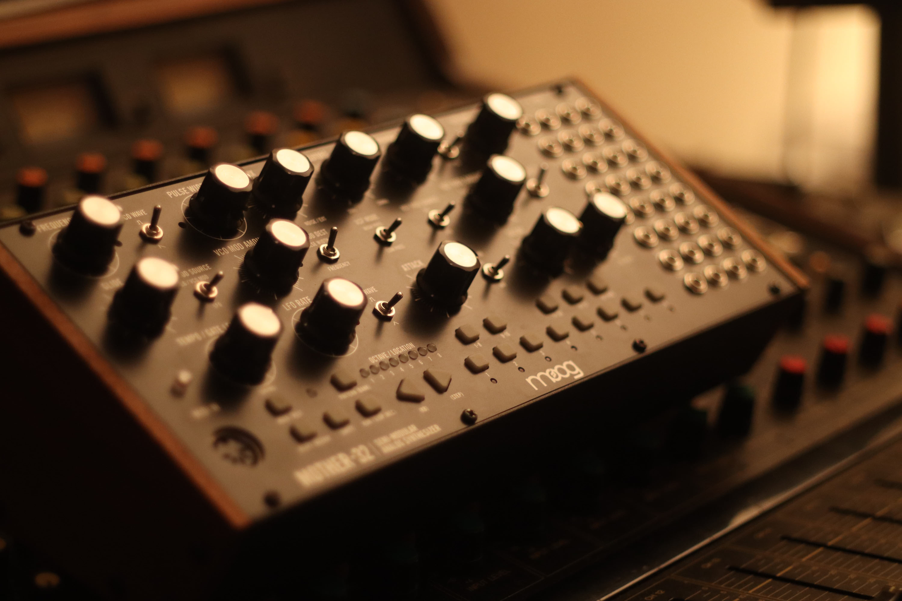 Moog (Product Shot)